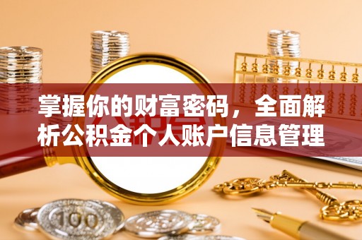 玉环掌握你的财富密码，全面解析公积金个人账户信息管理