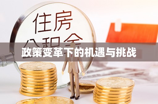 玉环政策变革下的机遇与挑战